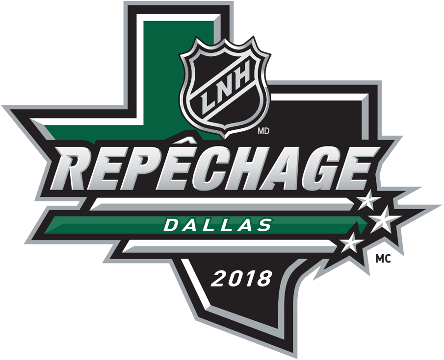 NHL Draft 2018 Alt. Language Logo iron on heat transfer
